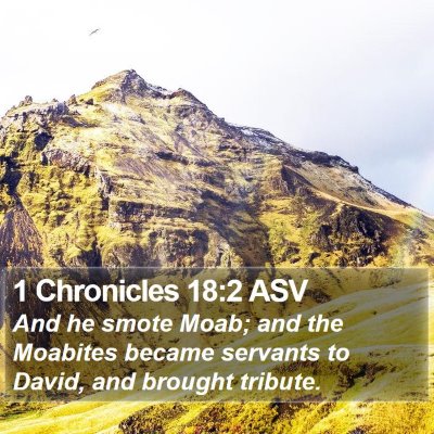 1 Chronicles 18:2 ASV Bible Verse Image