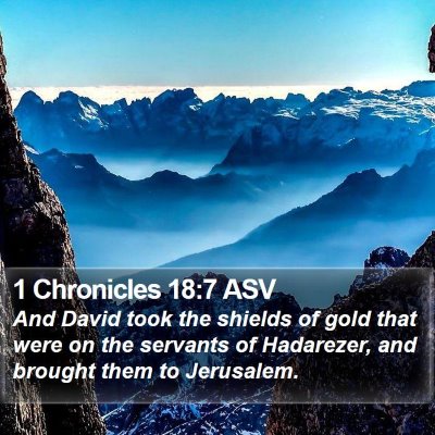 1 Chronicles 18:7 ASV Bible Verse Image