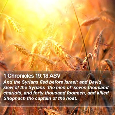 1 Chronicles 19:18 ASV Bible Verse Image