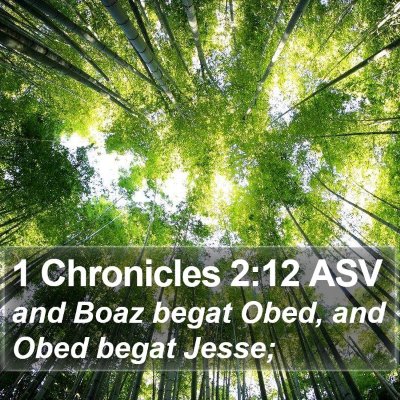 1 Chronicles 2:12 ASV Bible Verse Image