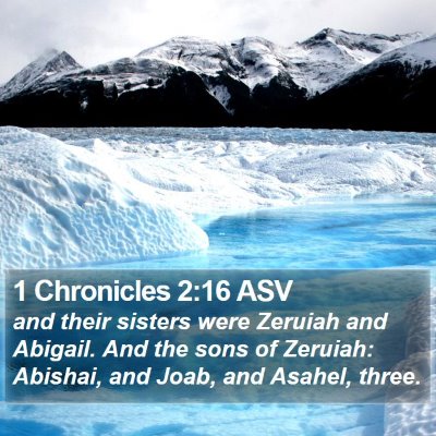 1 Chronicles 2:16 ASV Bible Verse Image