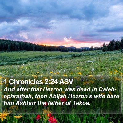 1 Chronicles 2:24 ASV Bible Verse Image