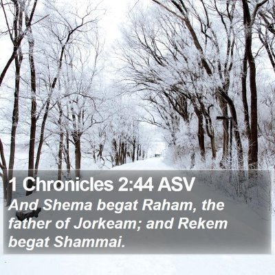1 Chronicles 2:44 ASV Bible Verse Image