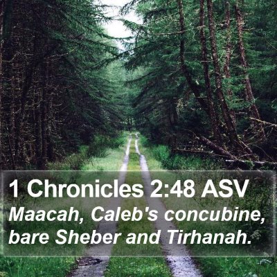 1 Chronicles 2:48 ASV Bible Verse Image
