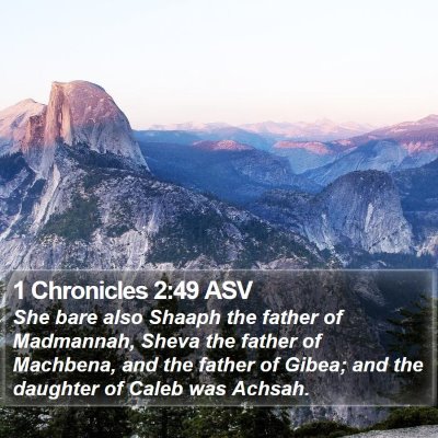 1 Chronicles 2:49 ASV Bible Verse Image