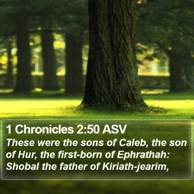 1 Chronicles 2:50 ASV Bible Verse Image