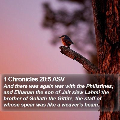 1 Chronicles 20:5 ASV Bible Verse Image