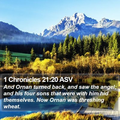1 Chronicles 21:20 ASV Bible Verse Image
