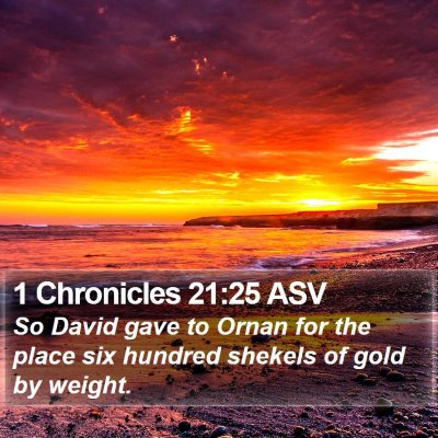 1 Chronicles 21:25 ASV Bible Verse Image