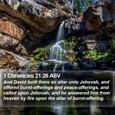 1 Chronicles 21:26 ASV Bible Verse Image