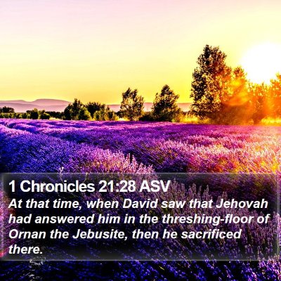 1 Chronicles 21:28 ASV Bible Verse Image