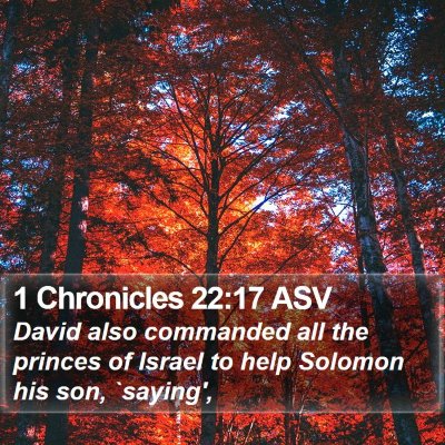 1 Chronicles 22:17 ASV Bible Verse Image