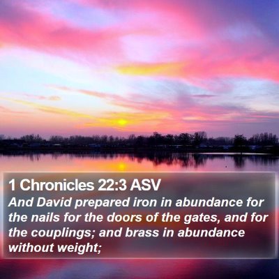1 Chronicles 22:3 ASV Bible Verse Image