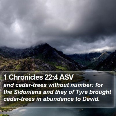 1 Chronicles 22:4 ASV Bible Verse Image