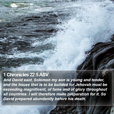 1 Chronicles 22:5 ASV Bible Verse Image