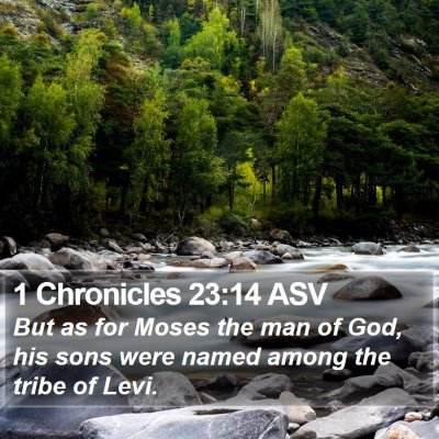 1 Chronicles 23:14 ASV Bible Verse Image