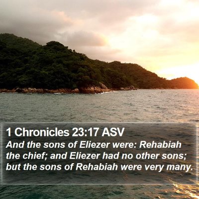 1 Chronicles 23:17 ASV Bible Verse Image