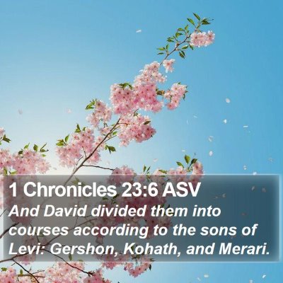 1 Chronicles 23:6 ASV Bible Verse Image