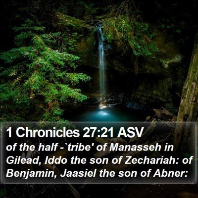 1 Chronicles 27:21 ASV Bible Verse Image