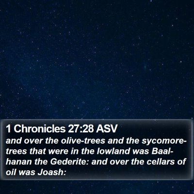 1 Chronicles 27:28 ASV Bible Verse Image