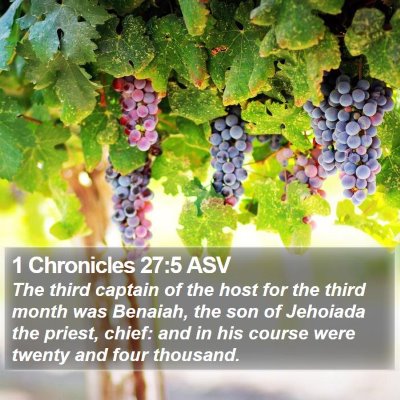 1 Chronicles 27:5 ASV Bible Verse Image
