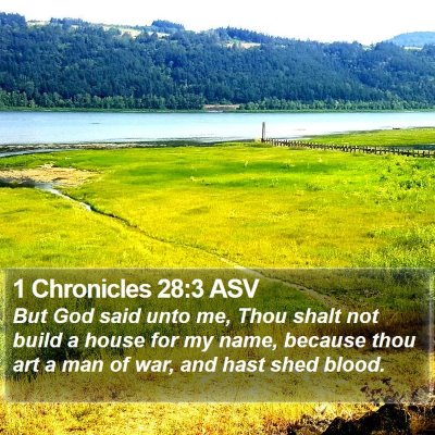 1 Chronicles 28:3 ASV Bible Verse Image