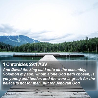 1 Chronicles 29:1 ASV Bible Verse Image