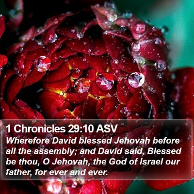 1 Chronicles 29:10 ASV Bible Verse Image