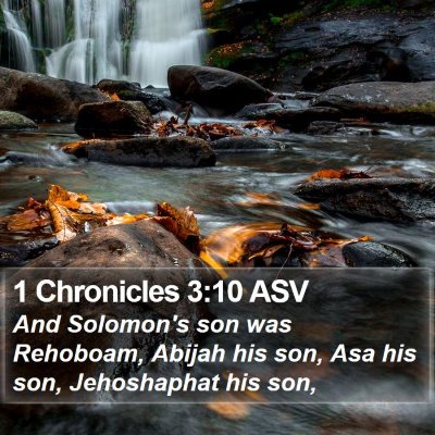 1 Chronicles 3:10 ASV Bible Verse Image