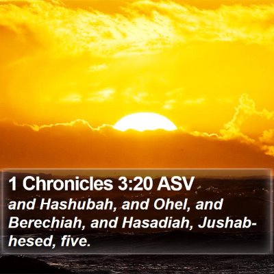 1 Chronicles 3:20 ASV Bible Verse Image