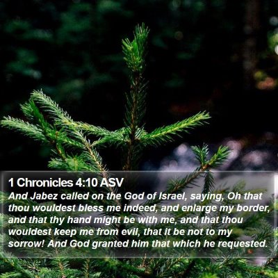 1 Chronicles 4:10 ASV Bible Verse Image