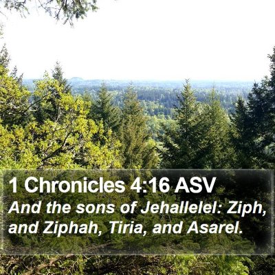 1 Chronicles 4:16 ASV Bible Verse Image