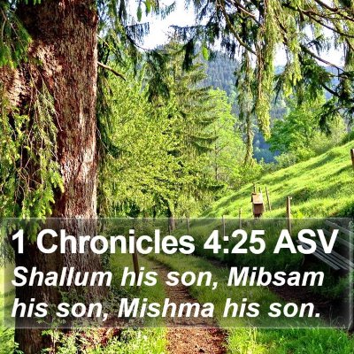 1 Chronicles 4:25 ASV Bible Verse Image