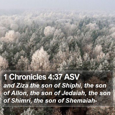 1 Chronicles 4:37 ASV Bible Verse Image