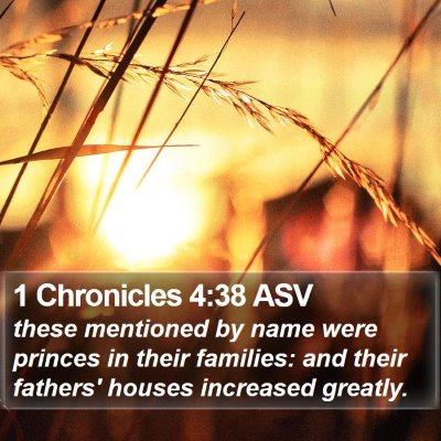 1 Chronicles 4:38 ASV Bible Verse Image