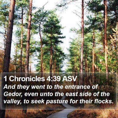 1 Chronicles 4:39 ASV Bible Verse Image