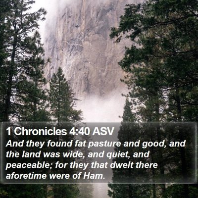 1 Chronicles 4:40 ASV Bible Verse Image
