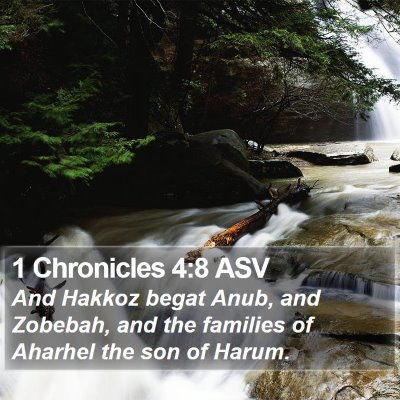 1 Chronicles 4:8 ASV Bible Verse Image