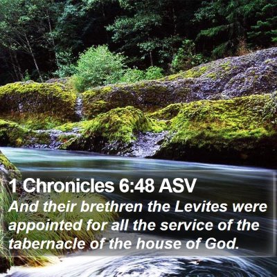 1 Chronicles 6:48 ASV Bible Verse Image