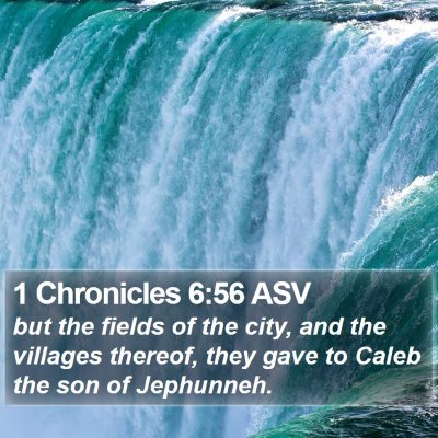 1 Chronicles 6:56 ASV Bible Verse Image