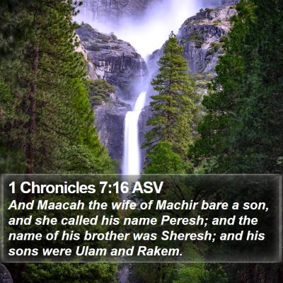 1 Chronicles 7:16 ASV Bible Verse Image