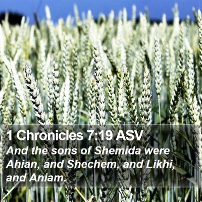 1 Chronicles 7:19 ASV Bible Verse Image