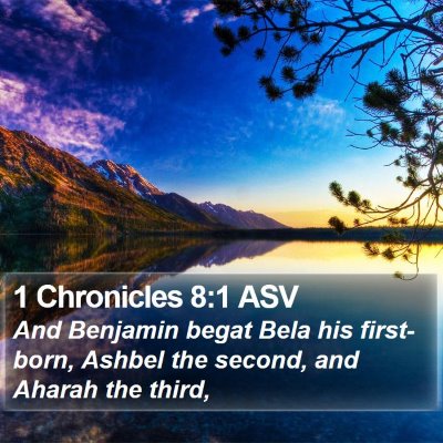 1 Chronicles 8:1 ASV Bible Verse Image