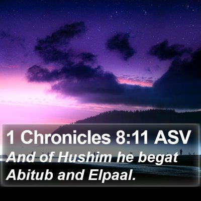 1 Chronicles 8:11 ASV Bible Verse Image