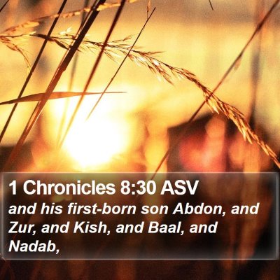 1 Chronicles 8:30 ASV Bible Verse Image
