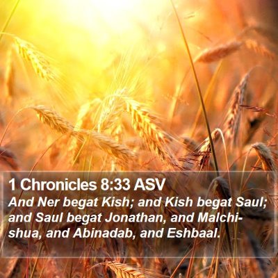 1 Chronicles 8:33 ASV Bible Verse Image