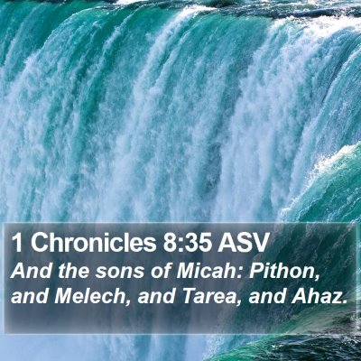 1 Chronicles 8:35 ASV Bible Verse Image
