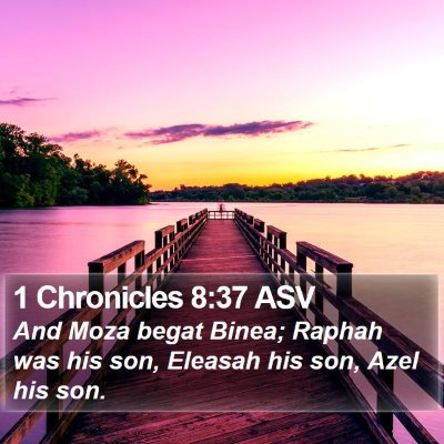 1 Chronicles 8:37 ASV Bible Verse Image
