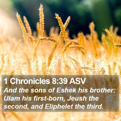 1 Chronicles 8:39 ASV Bible Verse Image
