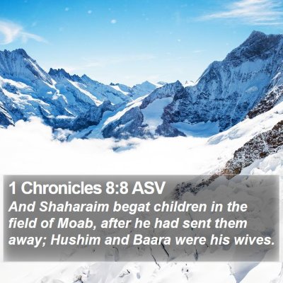 1 Chronicles 8:8 ASV Bible Verse Image